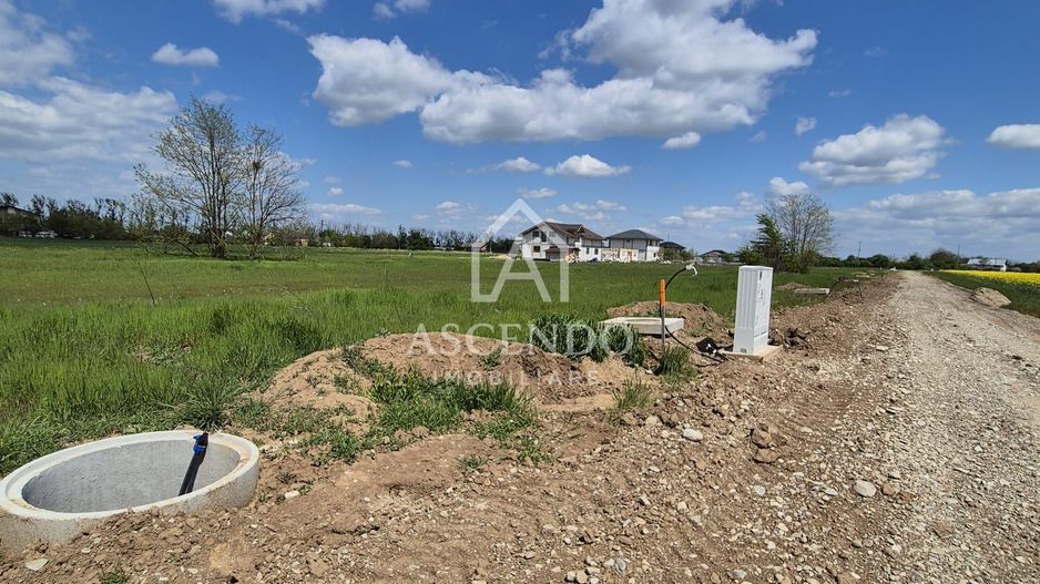 Teren intravilan 704 mp – Siliștea Snagovului | Lângă Pădurea Snagov - Poză 7