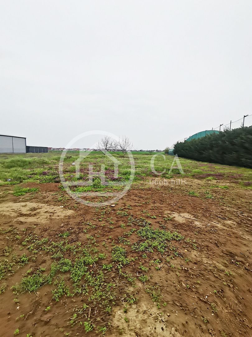 Teren intravilan de vanzare in Santandrei, Bihor - Poză 5