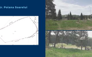 Teren 28.000 mp | Poiana Brasov | Poiana Mica | - Poză 3