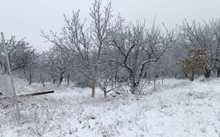 Teren de vanzare Adâncata - Poză 9