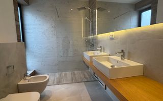 Minimalist în Timișoara - Poză 6