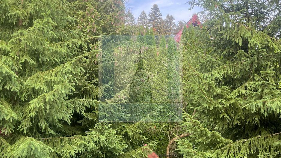 Pensiune de inchiriat/ Predeal - Poză 22