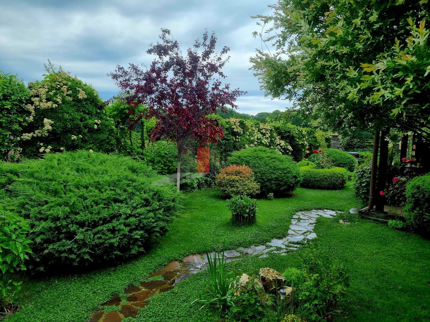 Vila cu gradina impresionanta | Prosumator | Tancabesti - Poză 8