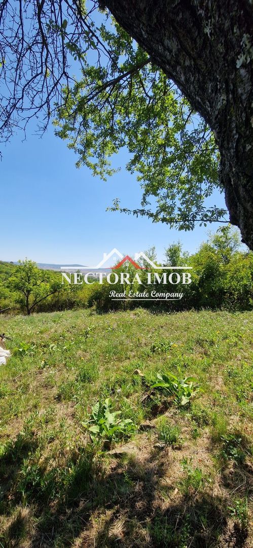 NECTORA IMOB-Teren Zona Podgoria,3400 mp (Intravilan + Extravilan) - Poză 2