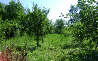 Teren de vânzare în Breaza– zonă liniștită, ideal pentru relaxare - Poză 10