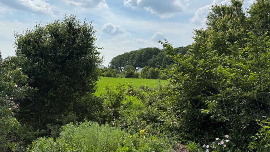 Teren intravilan 498,02 mp langa pădure , strada privata Corbeanca - Poză 6