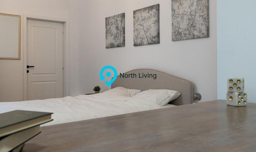 Casa superba - zona Mihai Eminescu - Mobilata Utilata - Poză 13