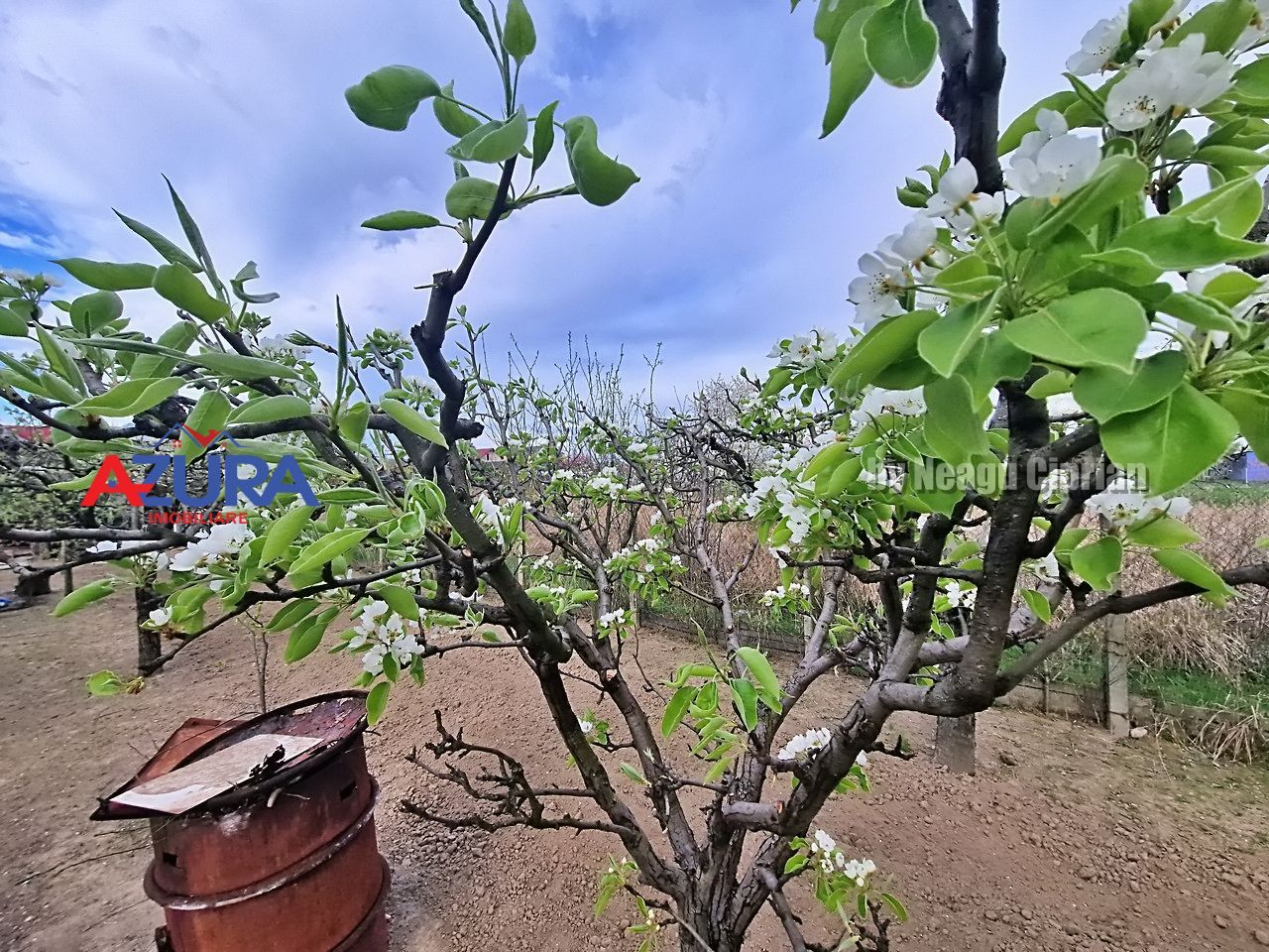 AZURA Imobiliare - Casa Prundu Bananai - Poză 27