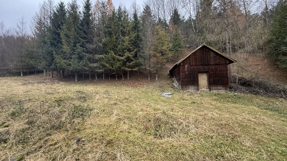 Casa Sucevița | 4.000 mp teren | Zonă liniștită - Poză 17