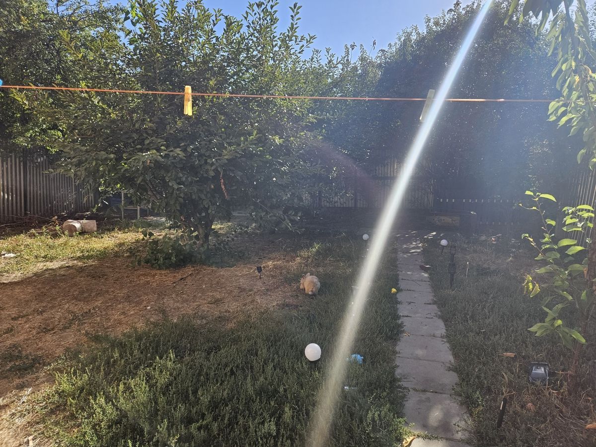 Casă / Vilă de vânzare în Industriilor, Bucuresti - Poză 16