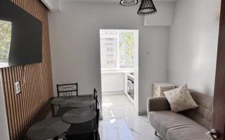 FALEZA NORD (COD 10) - Apartament 2 camere de inchiriat - Poză 2
