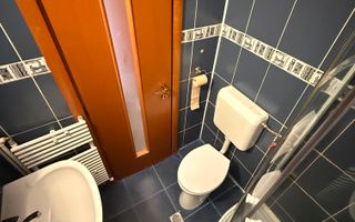 2 camere|| FLOREASCA COMPOZITORI - Poză 3