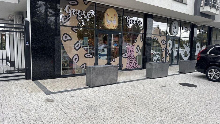 Vânzare, apartament, 2 camere, str. Alba Iulia, sectorul Buiucani - Poză 18