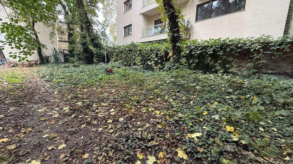 Studio de vanzare - Poză 13