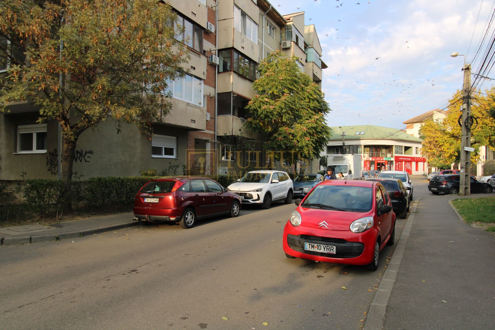 Str. Viorelelor zona Dorobanti; parter, centrala proprie. - Poză 20