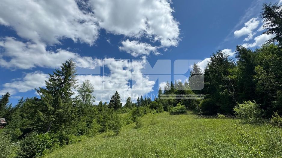 TEREN EXTRAVILAN DE VANZARE | CAMPULUNG MOLDOVENESC | 258.720€ - Poză 4