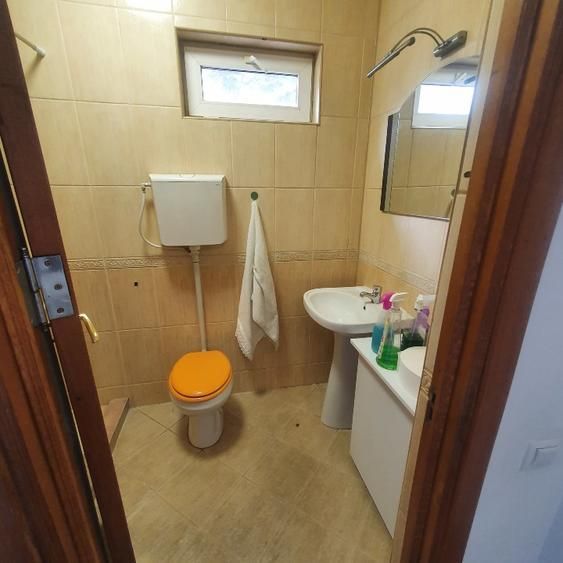 Vila Dacia/Institul Francez - Poză 11