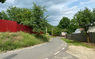 Domeniu 15.900 mp în Fințești | Casă + Investiție Dealu Mare - Poză 21