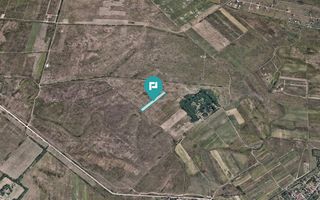 Teren extravilan de 10.000 mp - Poză 4