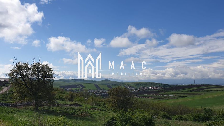 Teren | S+P+E | S+P+M | Intravilan | 9826 MP | Sura Mare - Poză 2