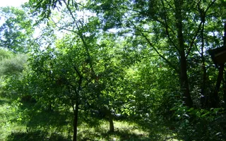 Teren de vânzare în Breaza– zonă liniștită, ideal pentru relaxare - Poză 13