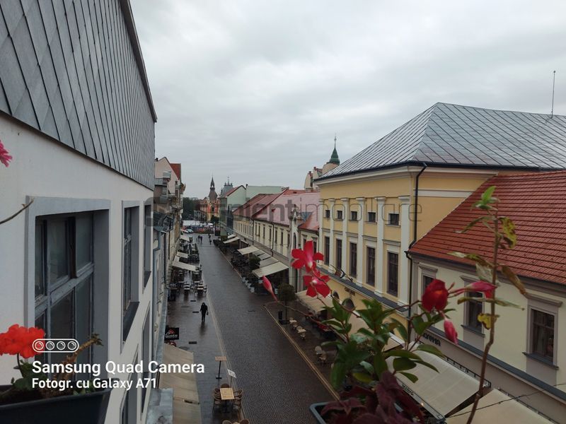 Apartament cu 4 camere str.Vasile Alecsandri - Poză 14