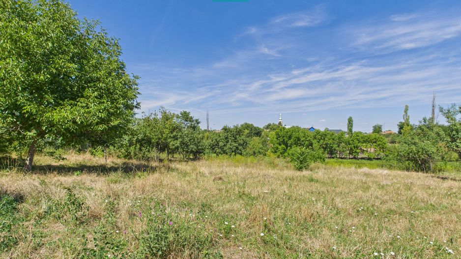 Teren 4919 mp– Comuna Călacea - Poză 1