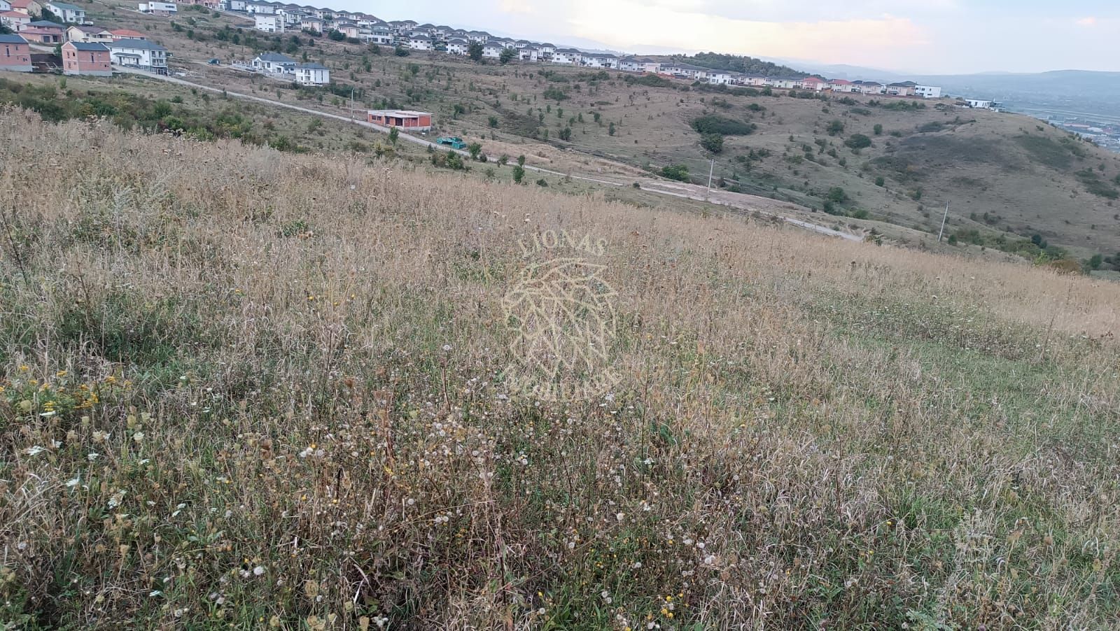 Teren intravilan 9400 mp,  ideal constructii, Dezmir, jud Cluj - Poză 3