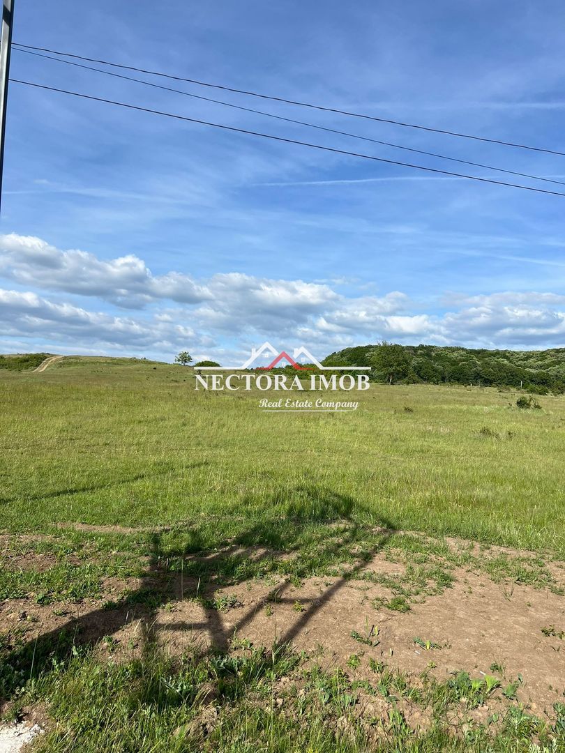NECTORA IMOB-Teren Intravilan Baile Felix-Usa Oil, 8603 mp, Iesire DN - Poză 4