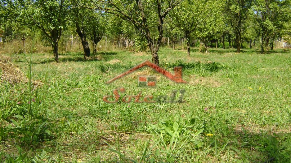 Teren  de vanzare Cornu 1919 mp - Poză 2