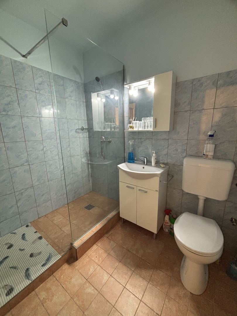 Apartament 1 camera la 10 minute de Iulius Mall - Poză 8