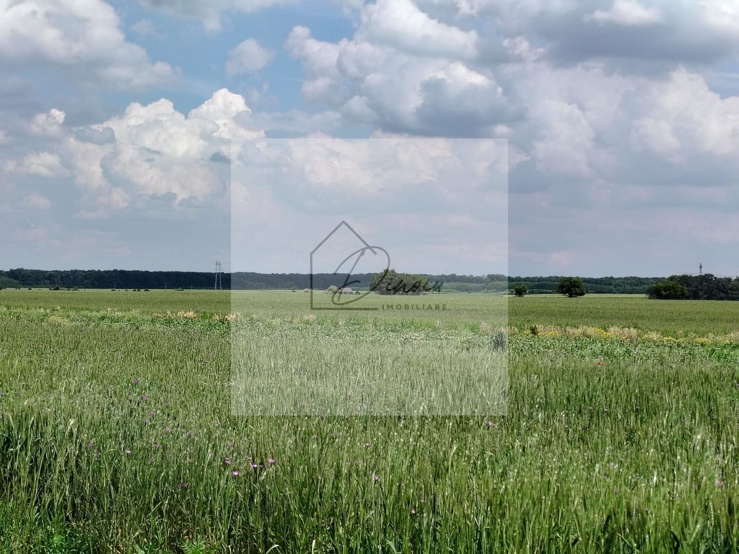 Casa Ciocanesti Cretu - 2 camere cu teren 2539 mp  - Jud. Dambovita - Poză 28