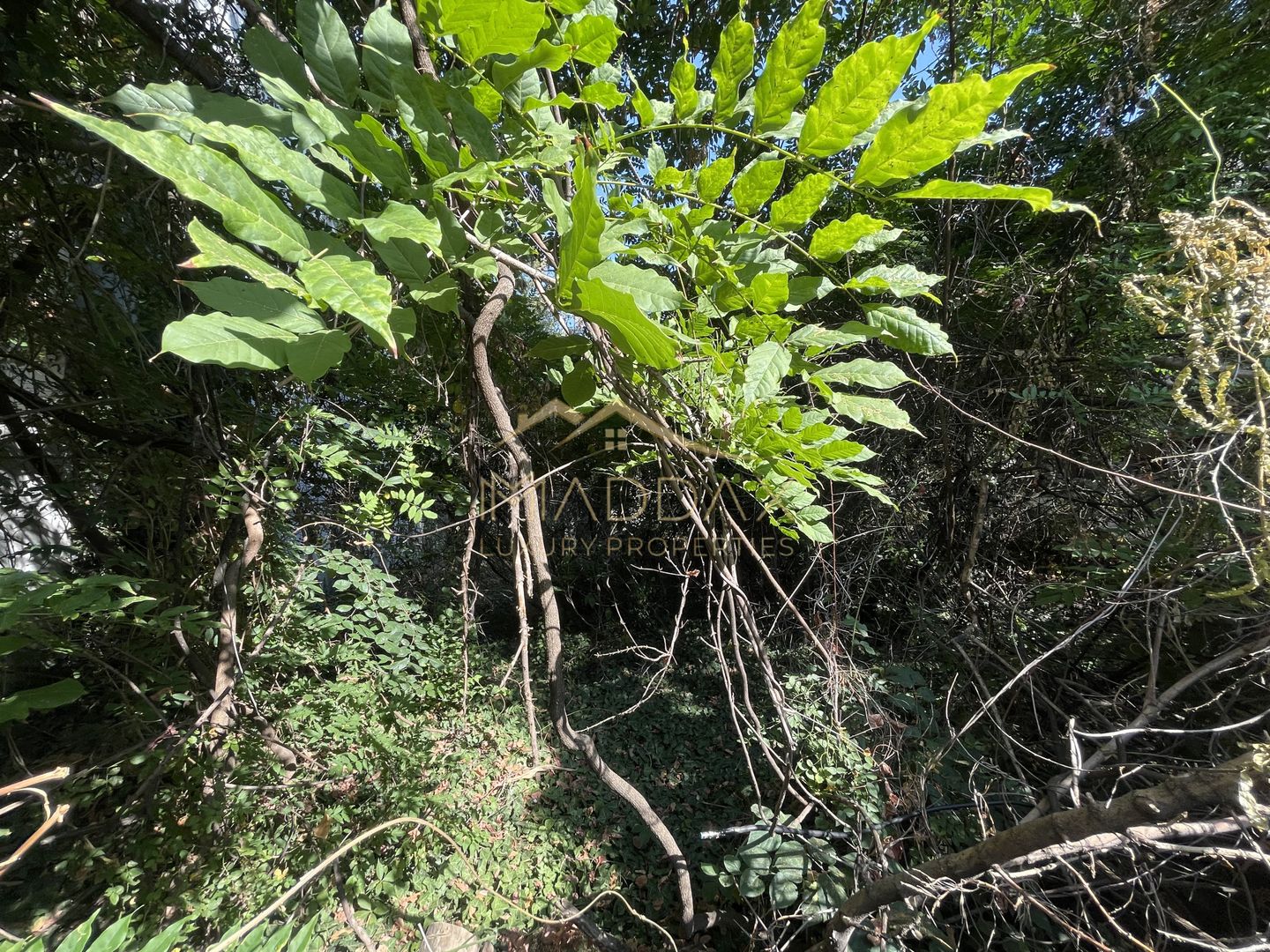 Teren Intravilan ***418mp*** posibilitate constructie S+P+2E+3ER // Floreasca - Poză 4