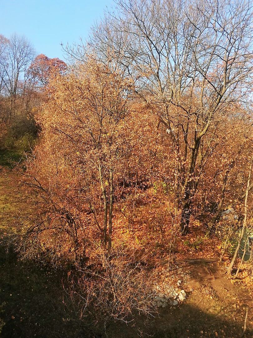 Zona centrala, apartament 3 camere in casa - Poză 1