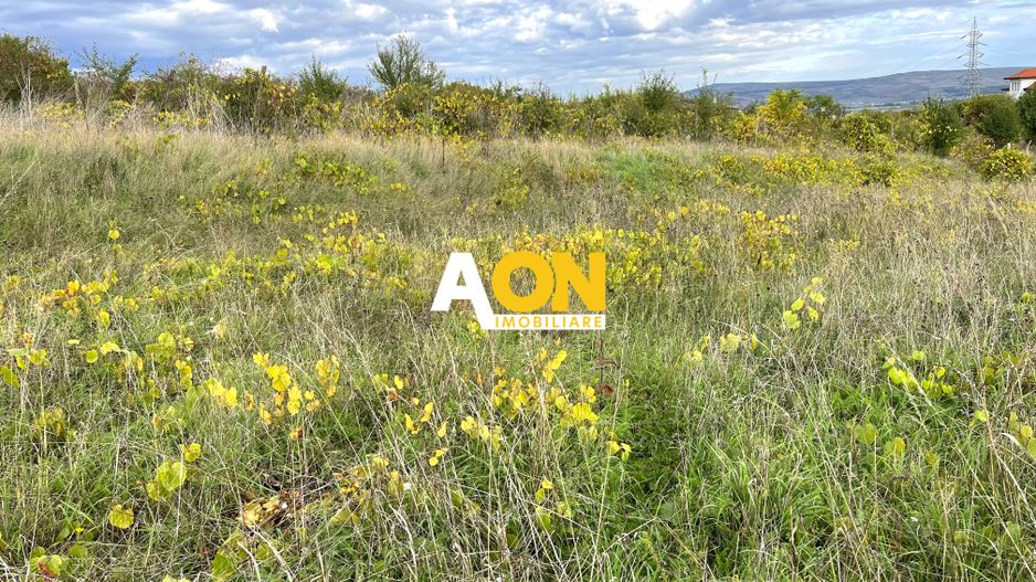 Teren de vanzare, zona Schit, panorama, 1500mp - Poză 3