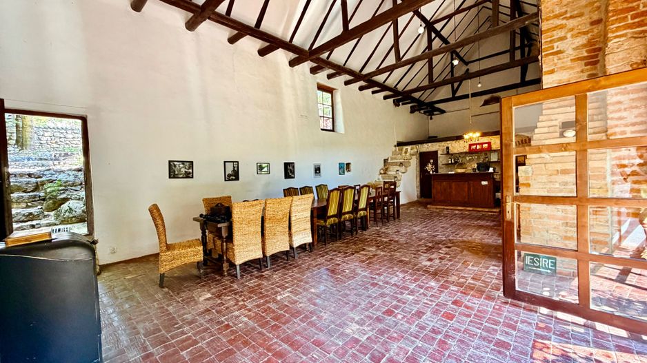 CASA THEA | INVESTIȚIE ÎN TURISM, GASTRONOMIE ȘI EXPERIENȚE | SOCOLARI - Poză 52