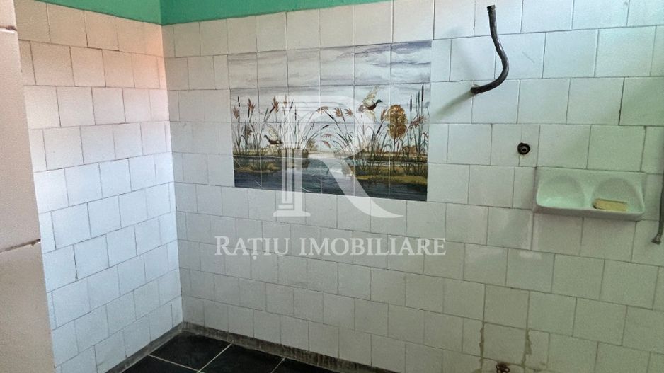 Casă cu etaj în Salonta | 996 mp | Grădină & livadă - Poză 21