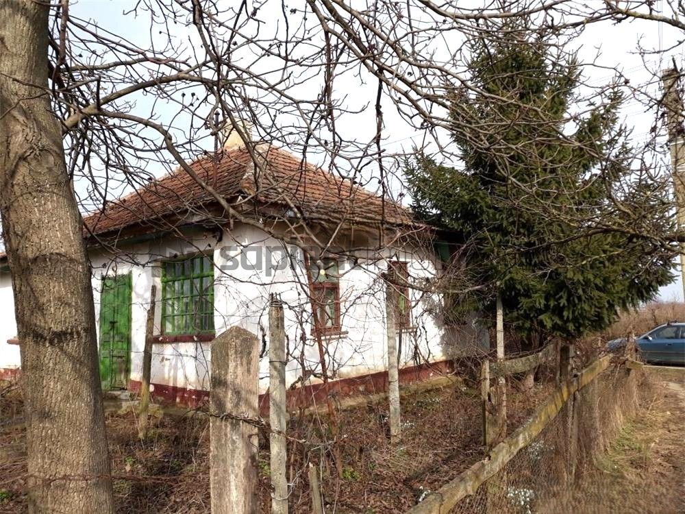 Casa bătrânească 110 mp cu anexe si teren generos de 2.263 mp - Poză 3