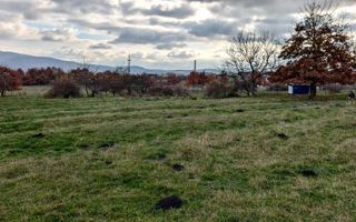 Teren intravilan 1433 mp-Parcelabil-ideal casa-Zona Dr. Dumitrei - Poză 1