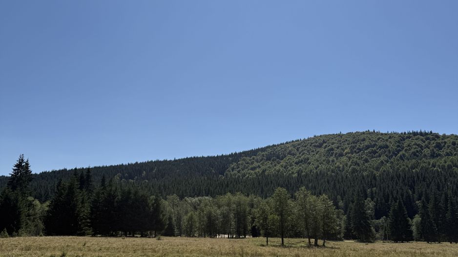 SUPER OCAZIE  - Teren intravilan, COMANDAU-PUZ case de vacanta. - Poză 7