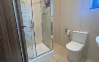 Casa cu teren generos de 750 mp, P+1E in zona Mehala - Poză 22