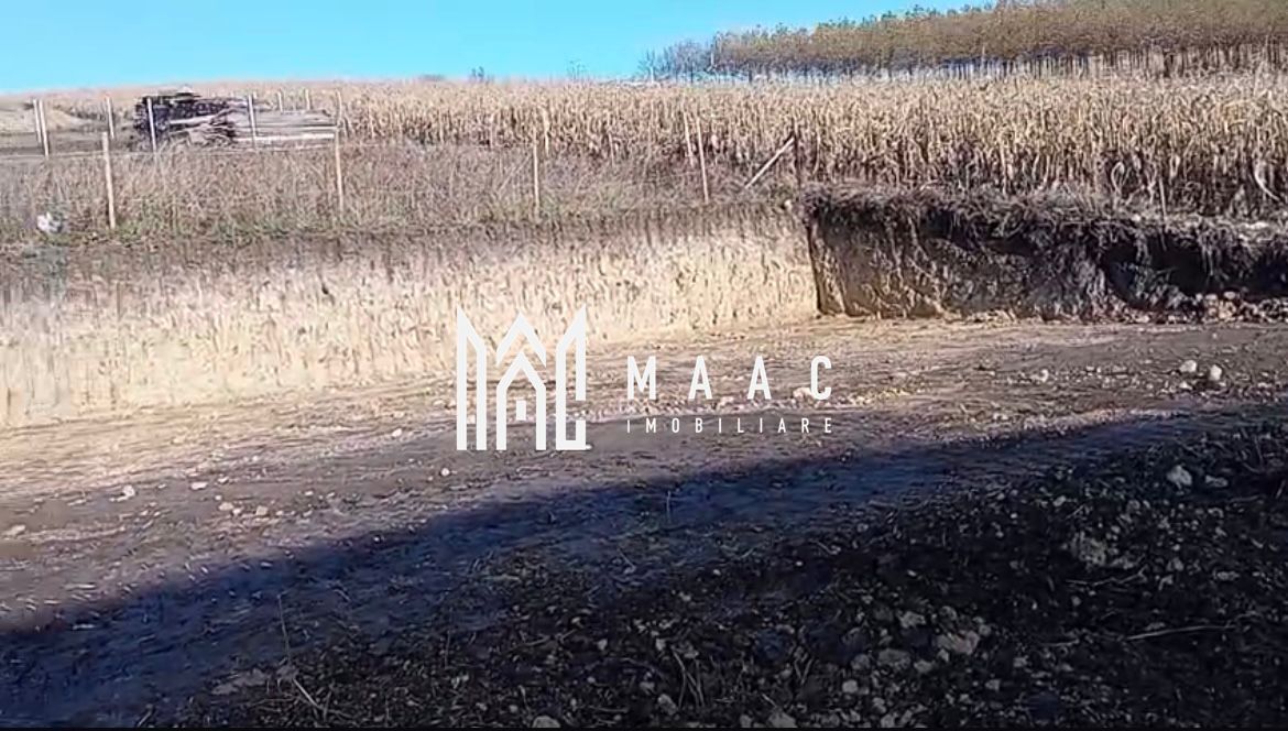 Teren 350 mp I Sura Mare I Autorizatie Casa Parter I Utilități - Poză 4