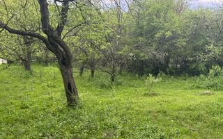 TEREN INTRAVILAN 7018 MP CAMPULUNG - Poză 28