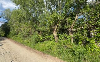 TEREN INTRAVILAN 2943 MP CAMPULUNG - Poză 4