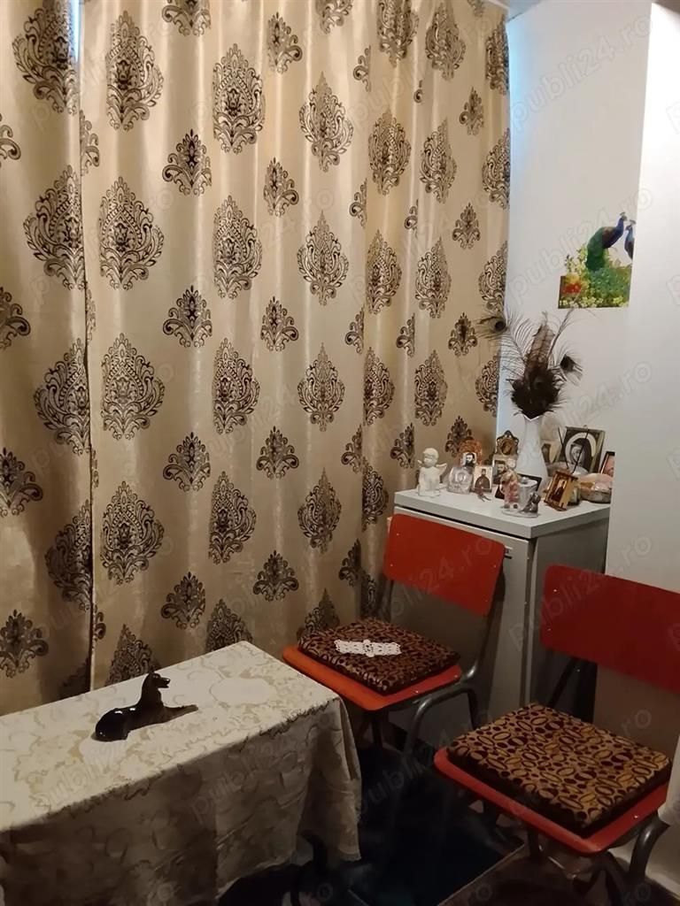 Apartament 1 camera Biziasului - Poză 7