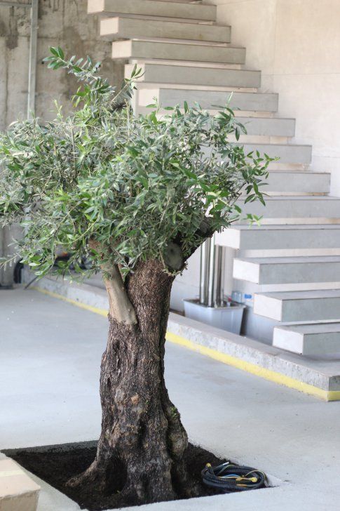 SMART HOME UNICAT I AUTOSUSTENABILA 0% UTILITATI I CORBEANCA - Poză 5