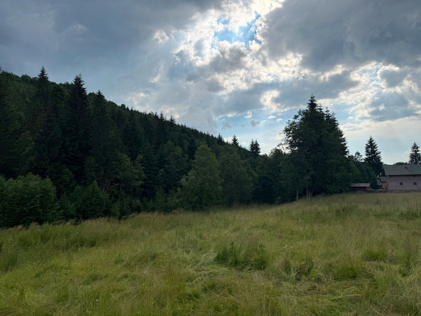 PARCELE DE VÂNZARE, pe malul râului BÂSCA, COMANDAU, COVASNA - Poză 8
