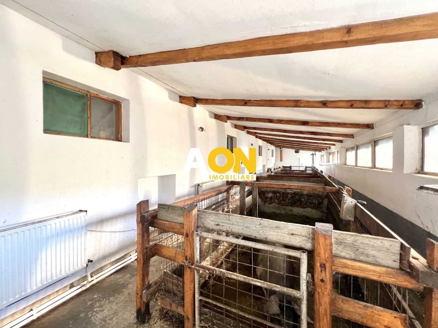 Ferma de vanzare cu 550MP utili si 27.500MP teren la asfalt - Poză 12