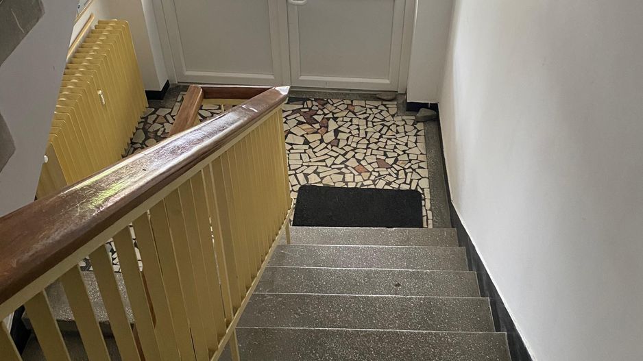 4 camere Pajura | Garaj +Boxa - Poză 11