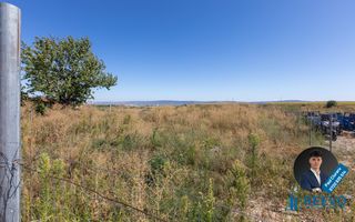 Hală de închiriat, Sat Valea Seacă, Com. N. Bălcescu, Bacău - Poză 13